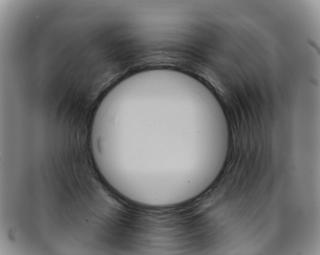 X0000096720411200802051104