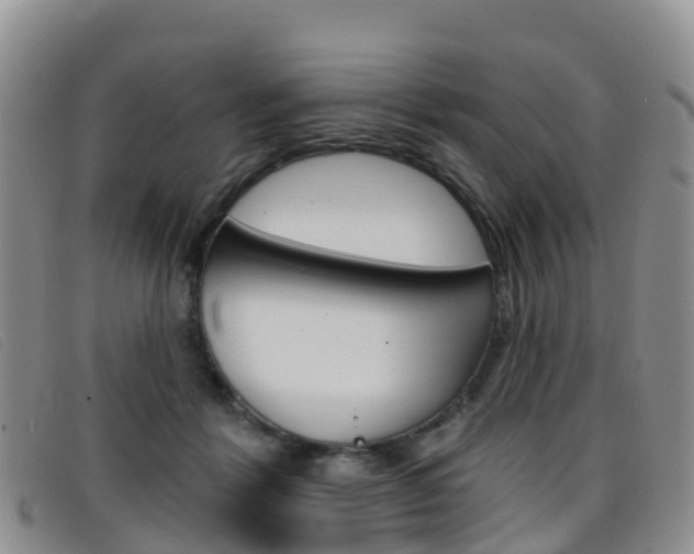 X0000096720412200802051104