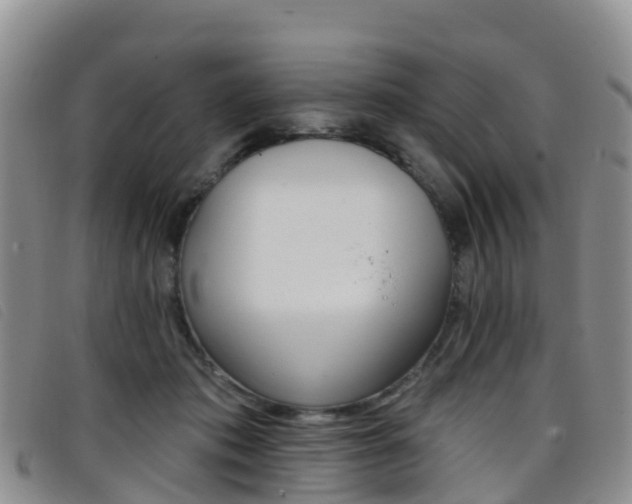 X0000096720413200802051104