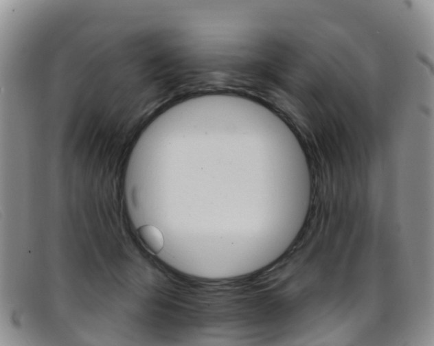 X0000096720415200802051104