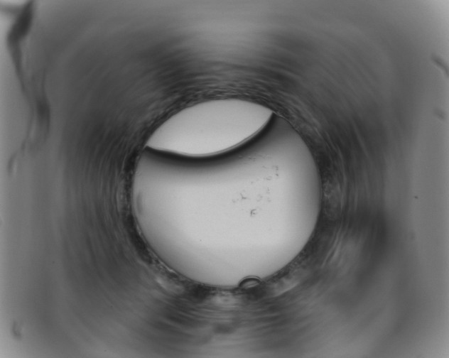 X0000096720416200802051104
