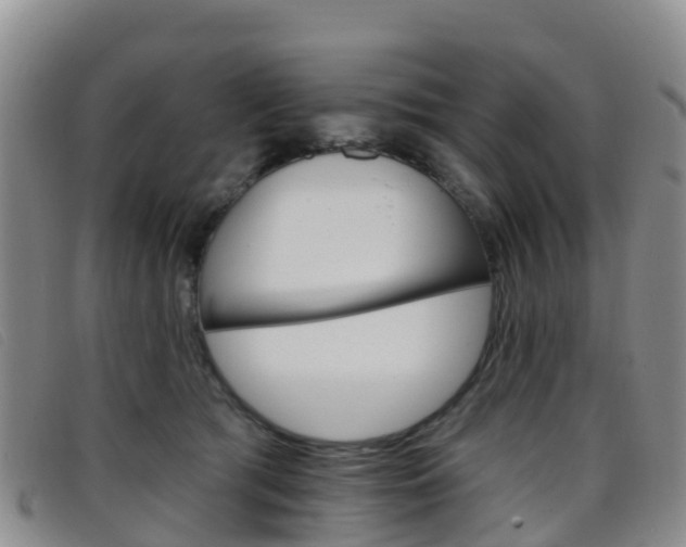 X0000096720417200802051104