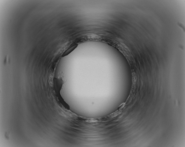 X0000096720419200802051104
