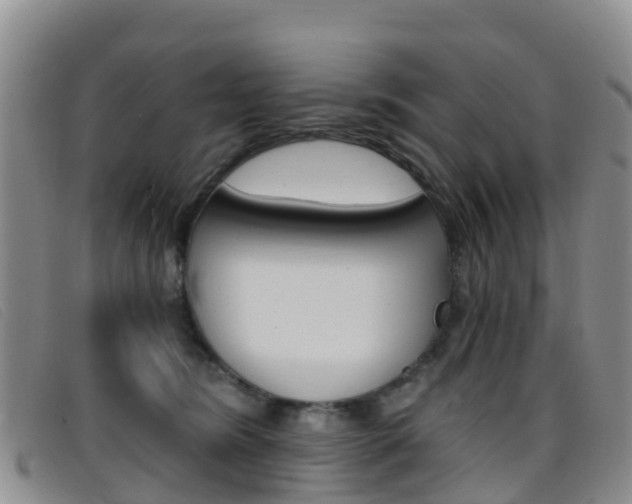 X0000096720420200802051104