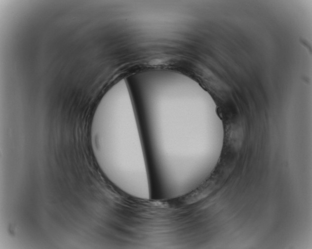 X0000096720421200802051104