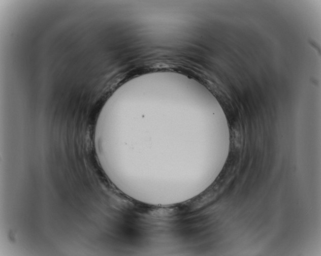 X0000096720422200802051104