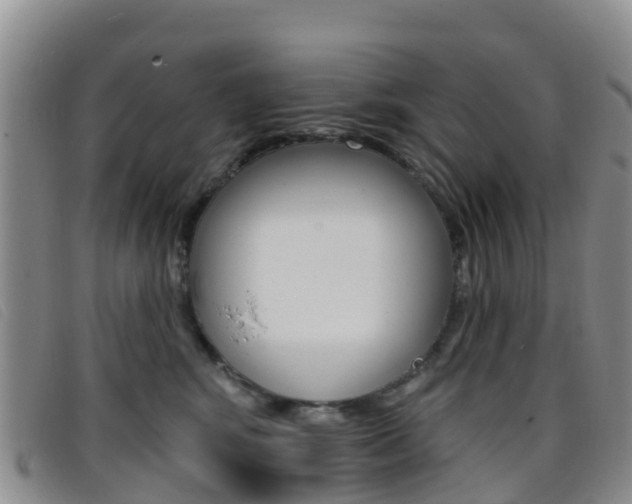 X0000096720424200802051104