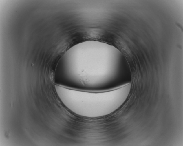 X0000096720425200802051104