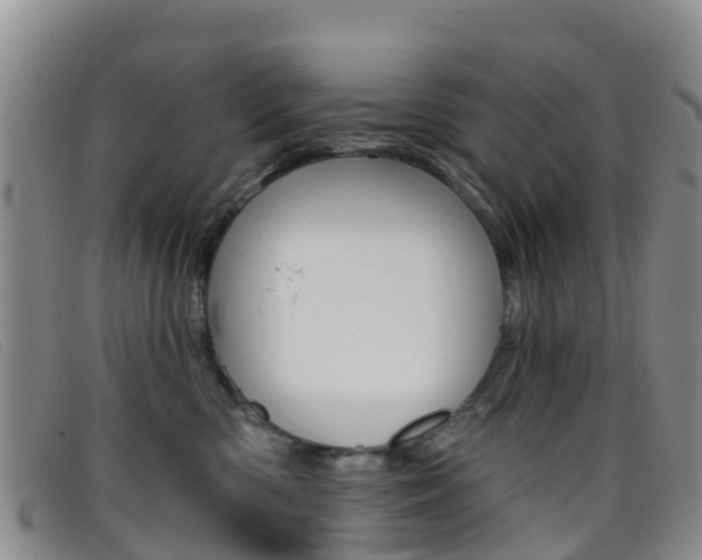 X0000096720426200802051104