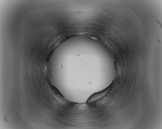 X0000096720427200802051104