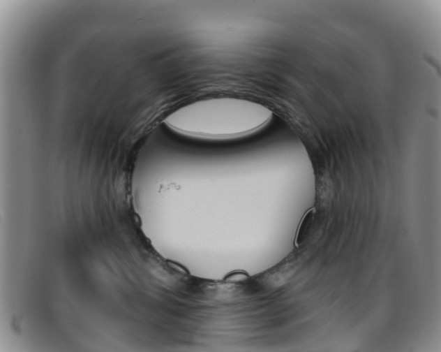 X0000096720428200802051104