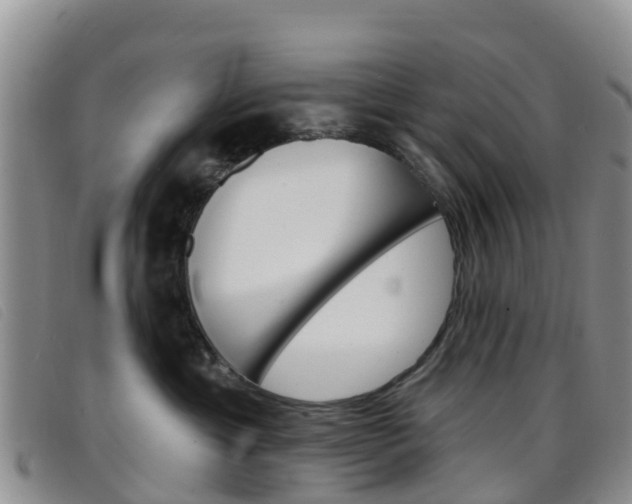 X0000096720429200802051104