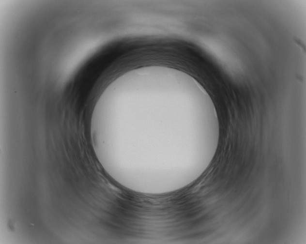 X0000096720431200802051104