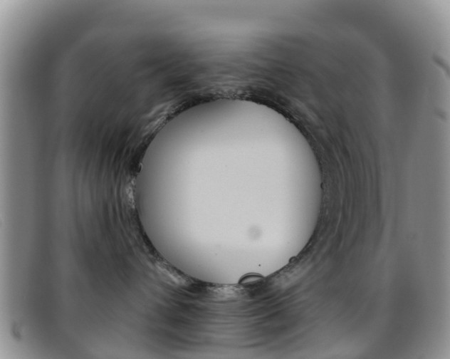 X0000096720432200802051104