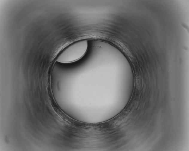 X0000096720434200802051103