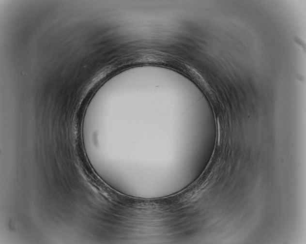 X0000096720435200802051103