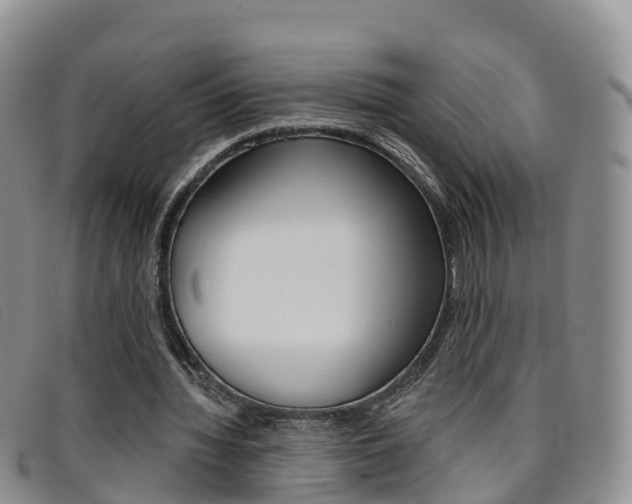 X0000096720436200802051103