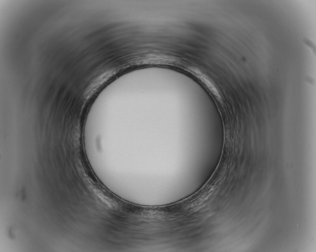 X0000096720437200802051103