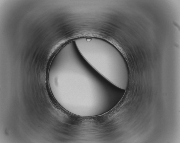 X0000096720438200802051103
