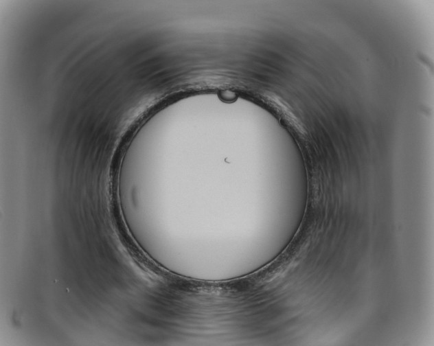 X0000096720439200802051103
