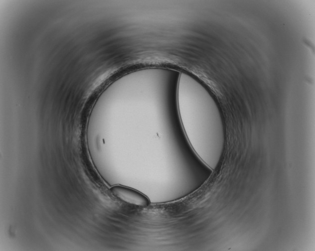 X0000096720440200802051103