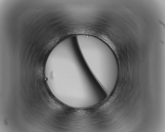 X0000096720441200802051103