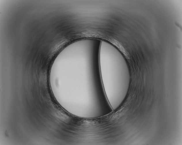X0000096720442200802051103