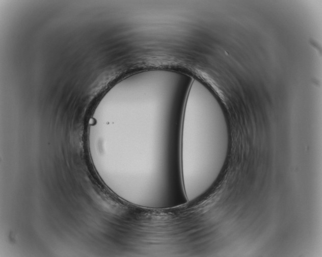 X0000096720443200802051103