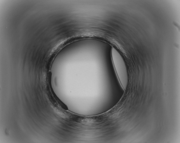 X0000096720444200802051103