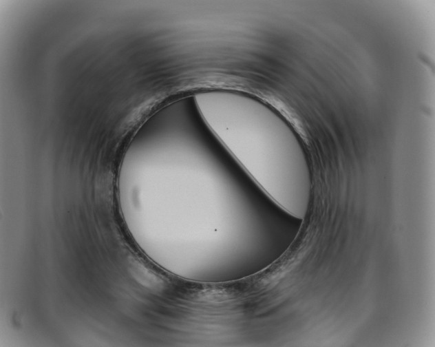 X0000096720445200802051103