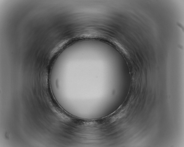 X0000096720446200802051103
