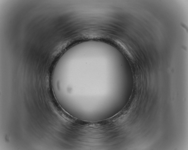 X0000096720447200802051103