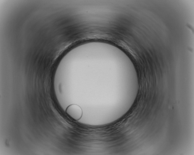 X0000096720448200802051103