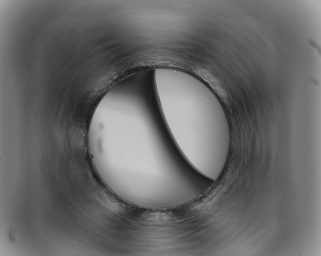 X0000096720449200802051103