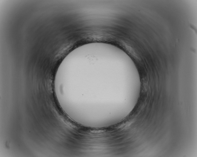 X0000096720450200802051103