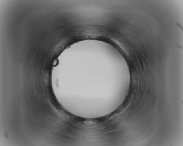 X0000096720451200802051103