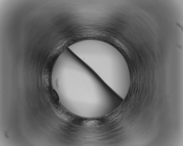X0000096720452200802051103