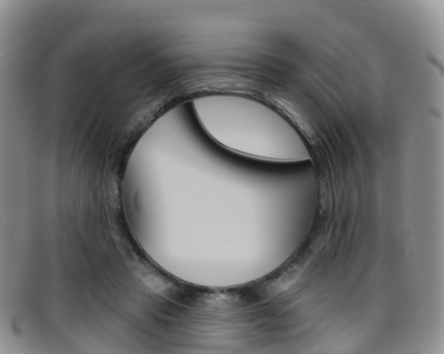 X0000096720453200802051103