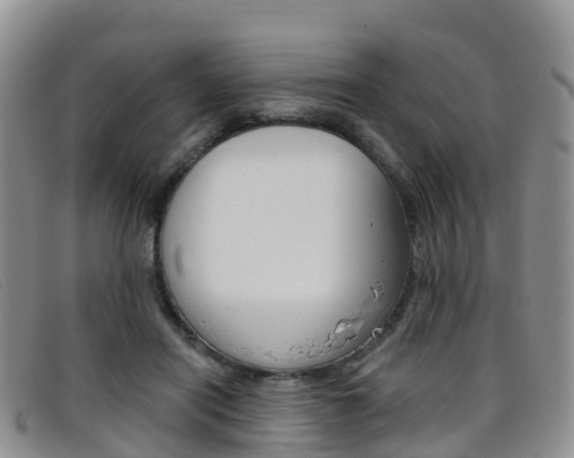 X0000096720454200802051104