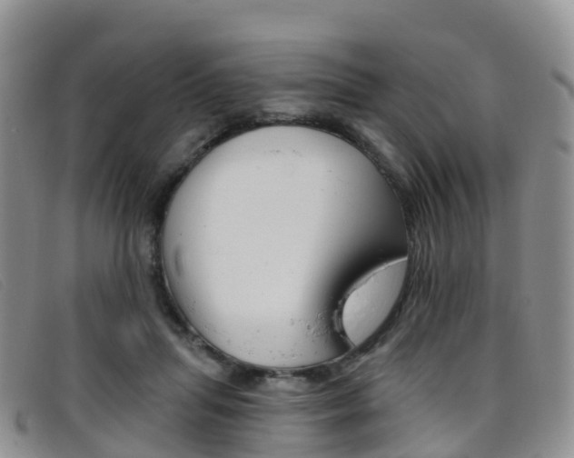 X0000096720455200802051104