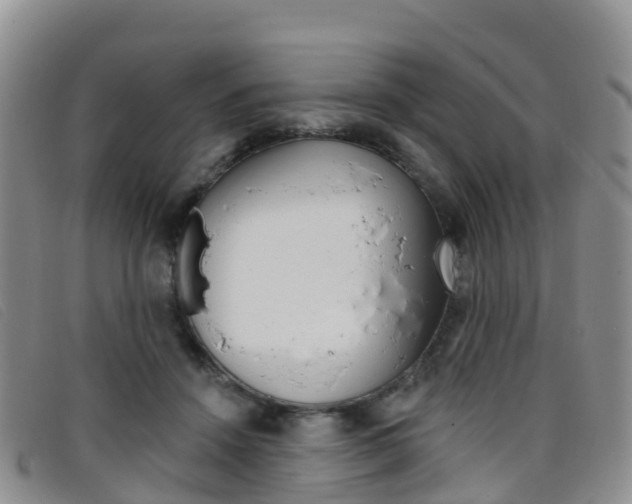 X0000096720456200802051104