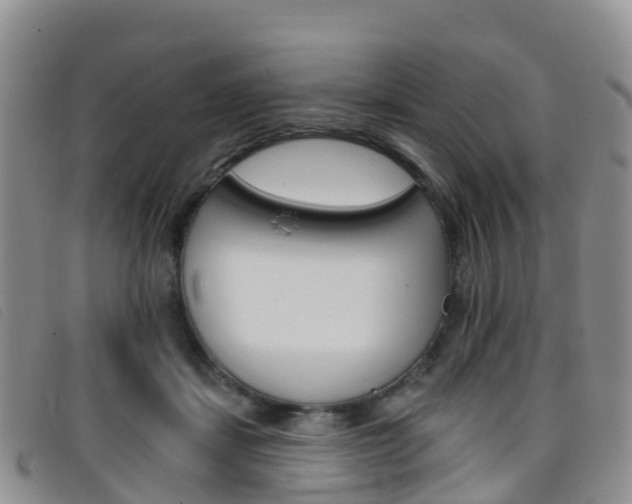X0000096720459200802051104
