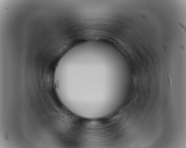 X0000096720460200802051104