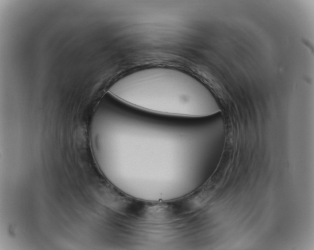 X0000096720461200802051104