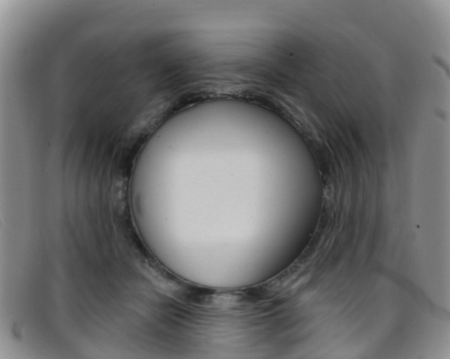 X0000096720462200802051104