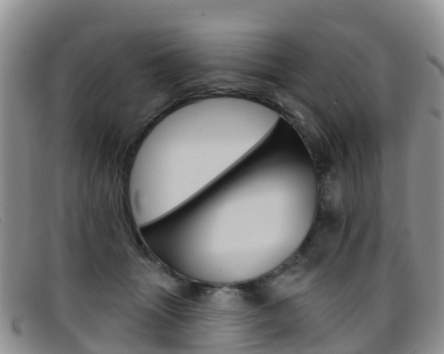 X0000096720463200802051104