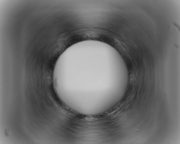 X0000096720464200802051104