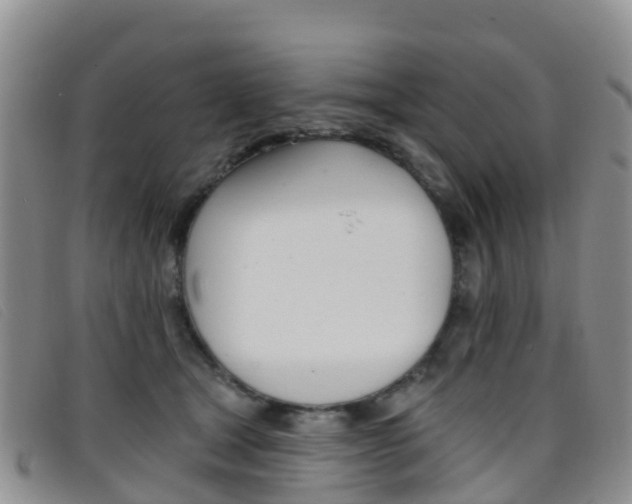 X0000096720465200802051104