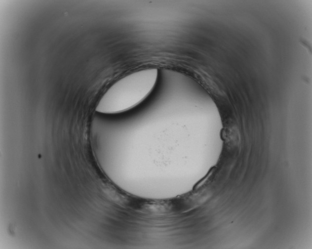 X0000096720466200802051104