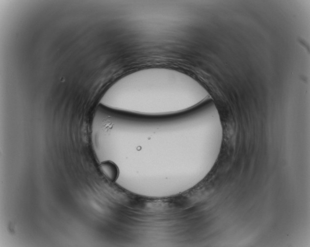X0000096720470200802051104